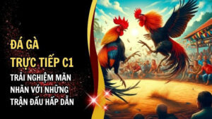 Đá gà trực tiếp C1 tại S666