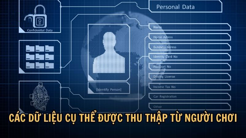 Các dữ liệu cụ thể được thu thập từ người chơi
