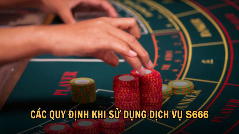 Các quy định khi sử dụng dịch vụ S666